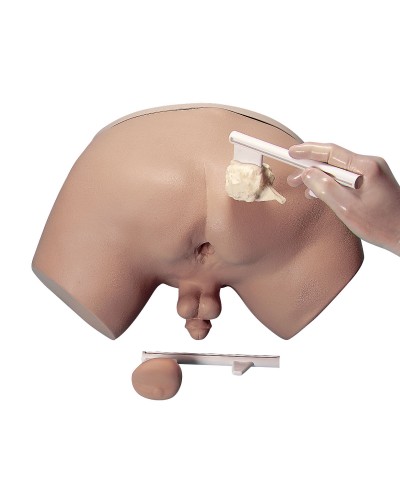 Prostate Examination Simulator